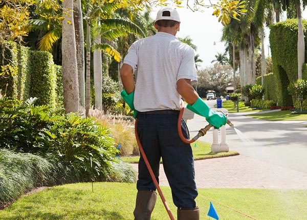 About Livingston Manor NY Pest Control